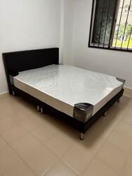 Blk 217 Tampines Street 23 (Tampines), HDB 3 Rooms #532105291